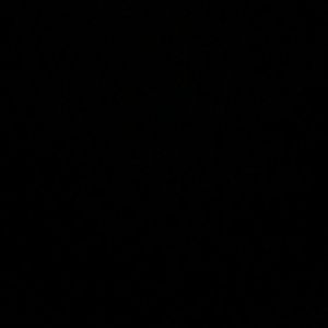 Meet your Posher, Adela